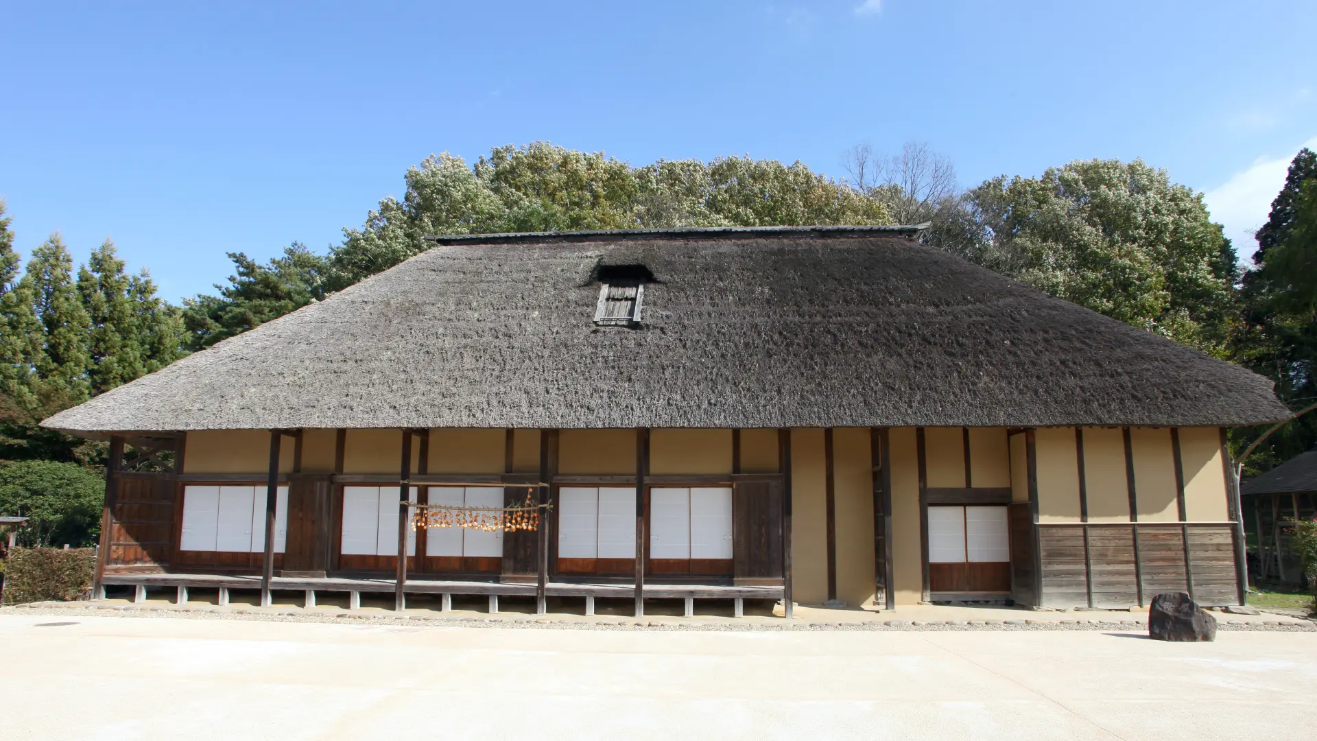 Main Photo